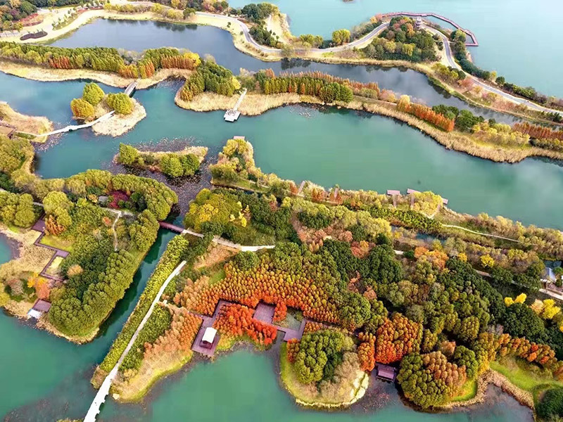 2026年世界杯官网(FIFA World Cup 2026) - 官方网站